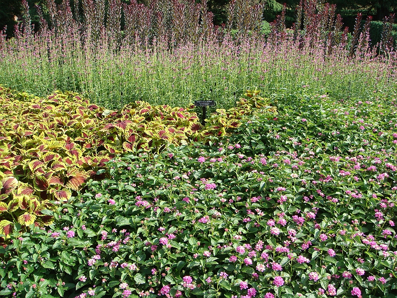 164 Longwood Gardens [2008 August 23].JPG - Longwood Gardens in Pennsylvania